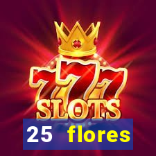 25 flores silvestres com nomes